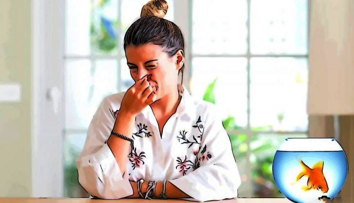 Bể cá có mùi tanh