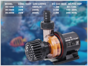 Lựa chọn bơm phù hợp với bể cá