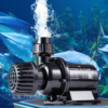 Bơm Marine DC chống giật