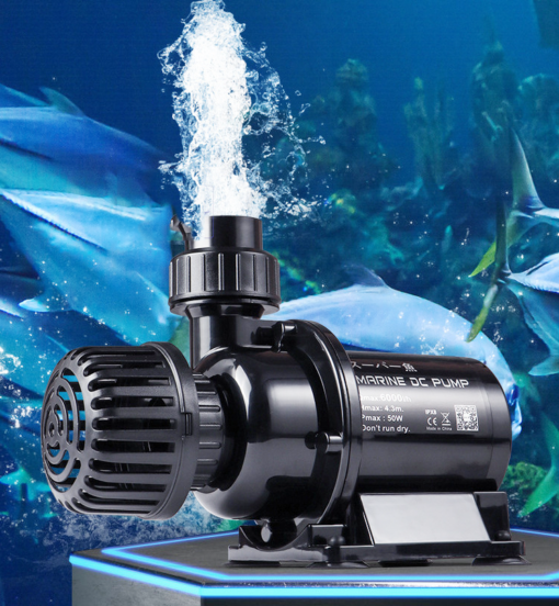 Bơm Marine DC chống giật