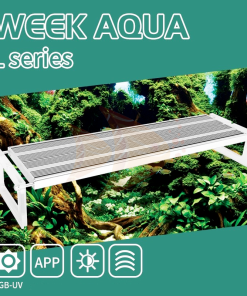 Đèn Week L pro