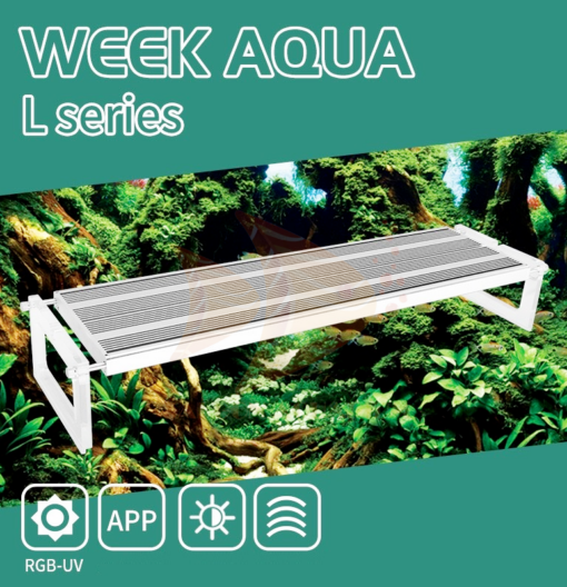 Đèn Week L pro