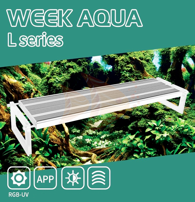 Đèn Week L pro