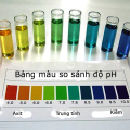 Ảnh hưởng độ pH với cá cảnh