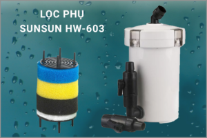 Lọc phụ bể cá