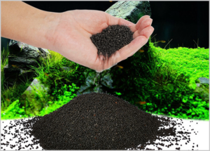 Phân nền thủy sinh