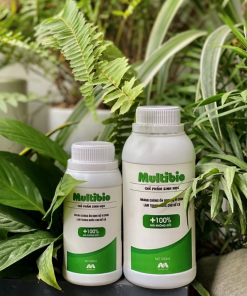 Vi Sinh Multibio Cho Bể Cá Cảnh