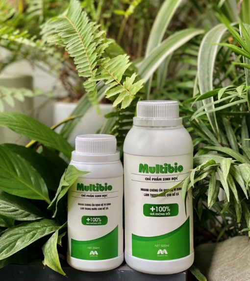 Vi Sinh Multibio Cho Bể Cá Cảnh