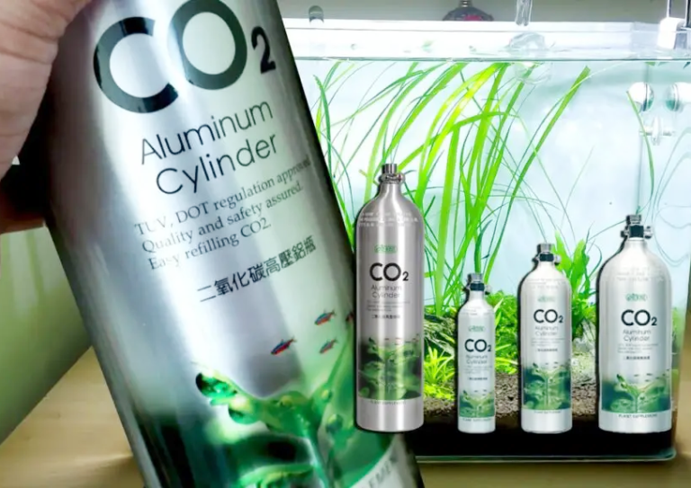 Vai trò của CO2 với cây thủy sinh